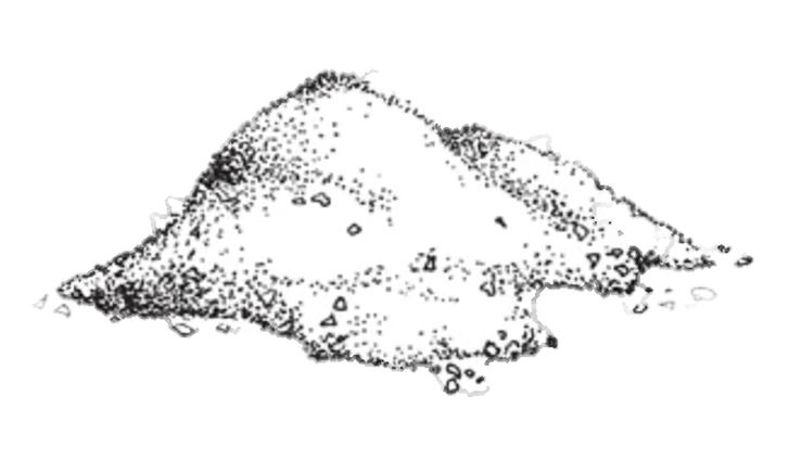 A mound of salt